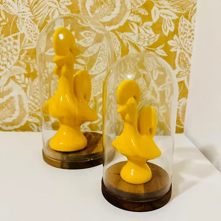 Costa Paradise 호텔